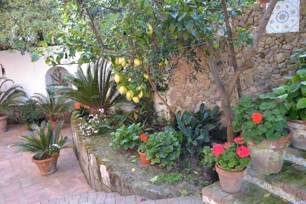 Piccolo Tirreno Hotel Residence Procida Esterno foto