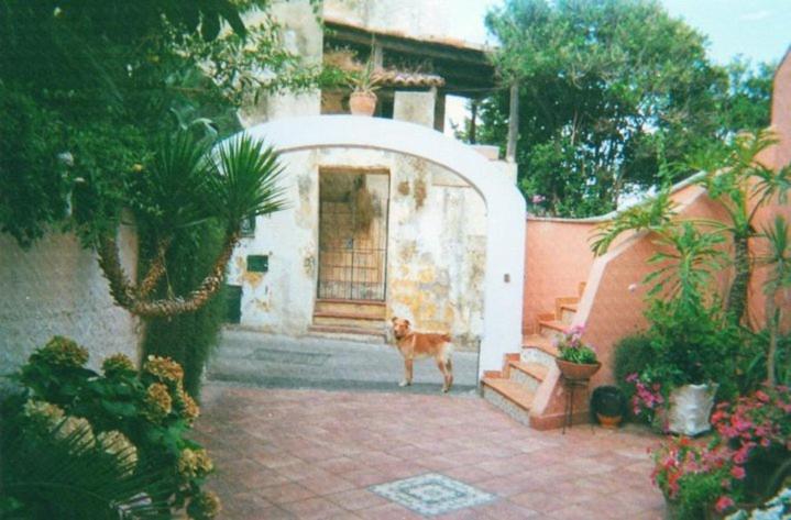 Piccolo Tirreno Hotel Residence Procida Esterno foto